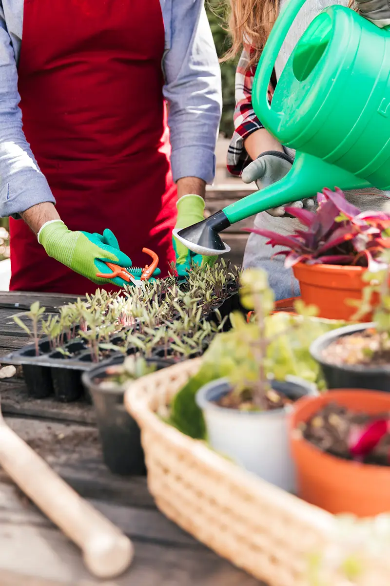 Horticulturist