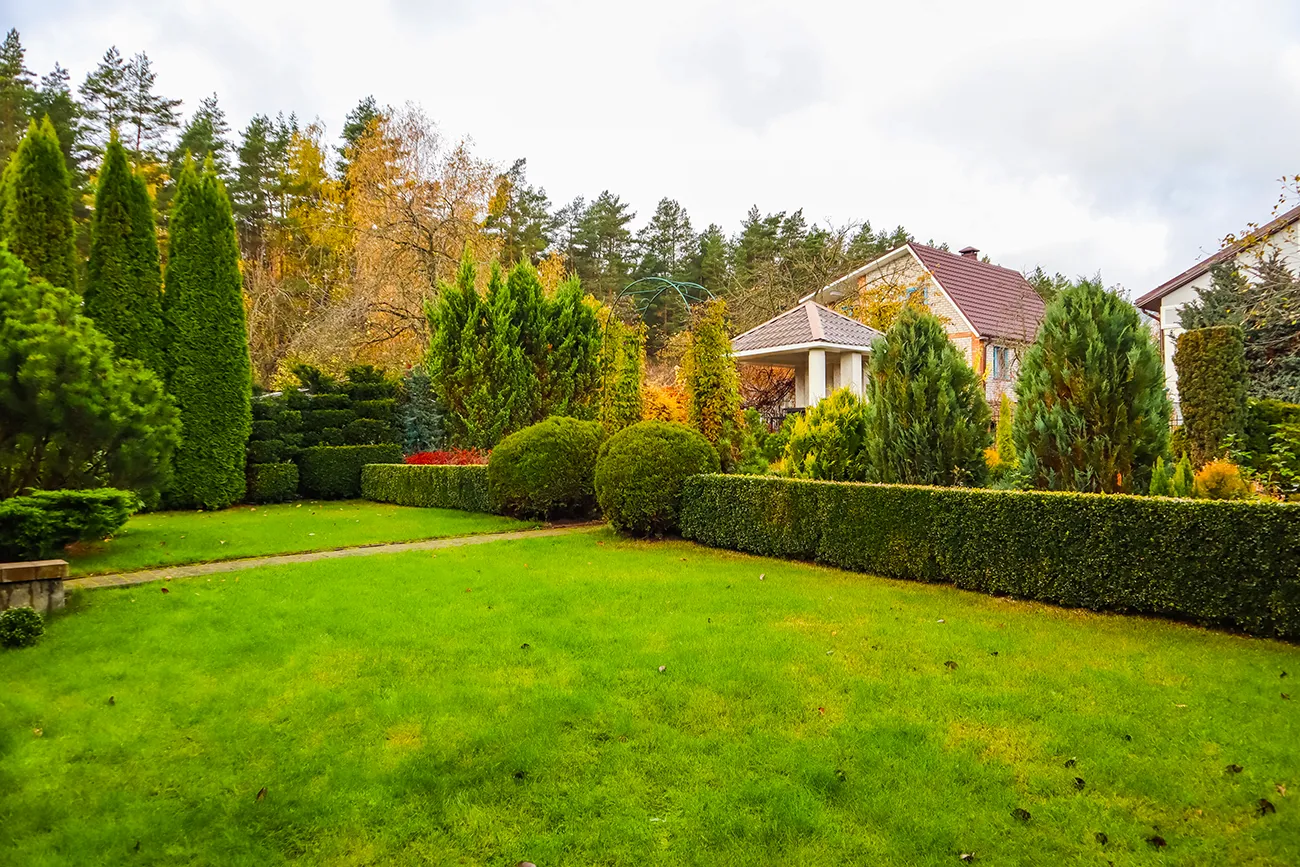 garden